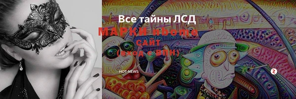 стаф Алексин