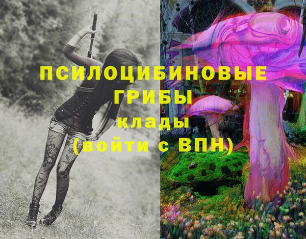 соль курить ск Костерёво