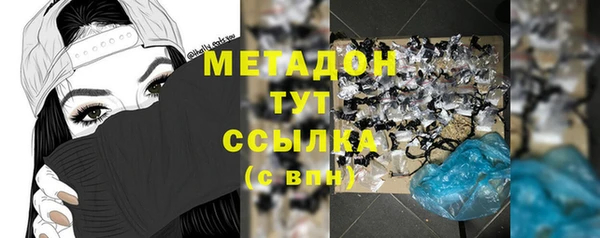 стаф Алексин