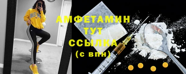 стаф Алексин