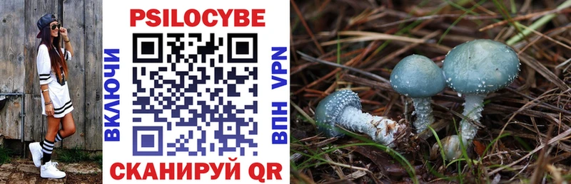 Галлюциногенные грибы Psilocybine cubensis  Арзамас 
